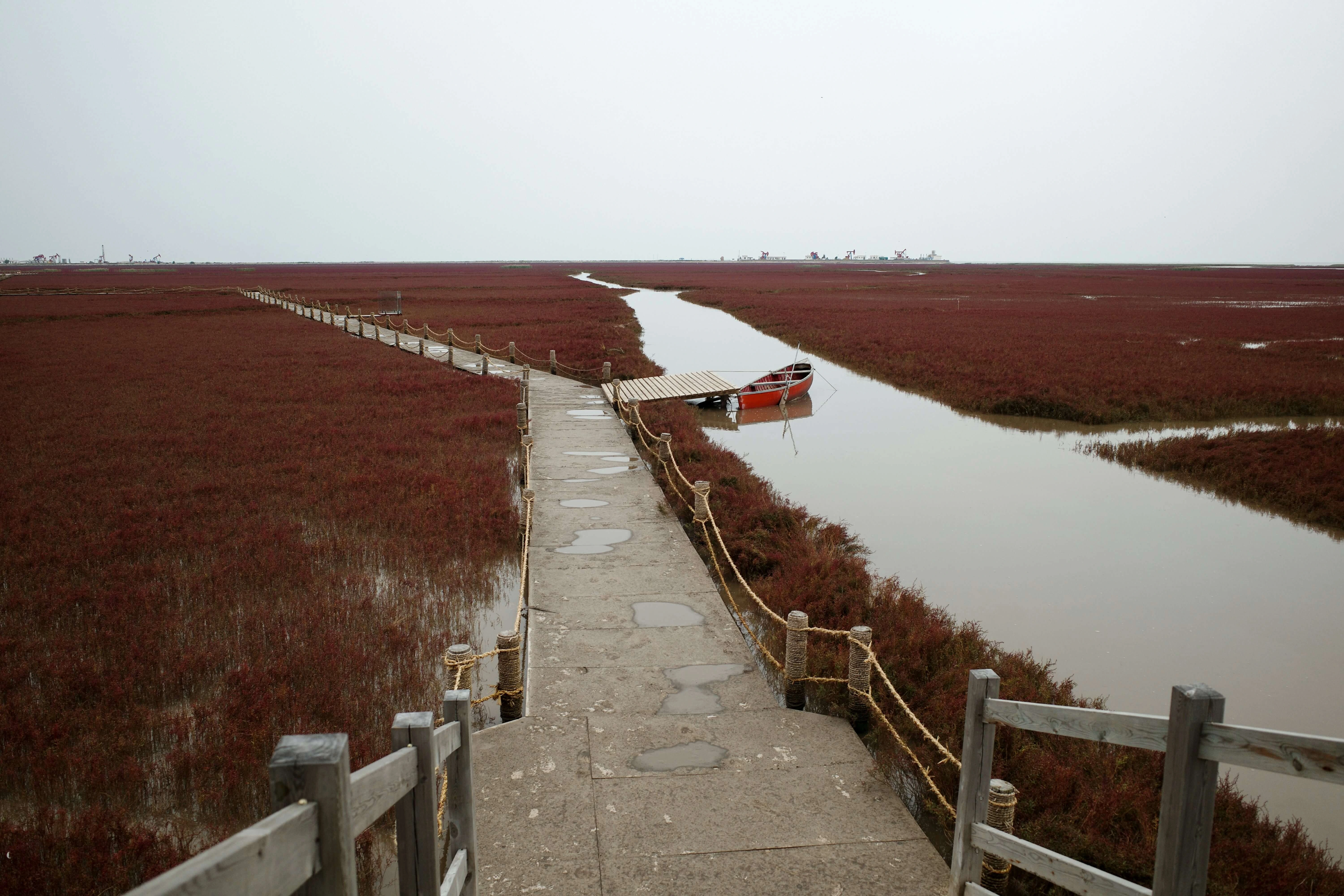 red beach panjin