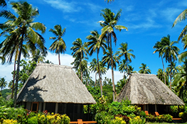 fiji travel insurance