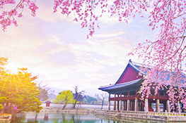 south korea travel